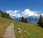 Ausflugsgebiet Kerenzerberg - Freizeitvergnügen in ursprünglicher Natur-landschaft - weitab der Alltagshektik