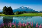 2nd International Swiss Senior Amateur Championship 2015- 16. Juli 2015 Engadine Golf Club Switzerland