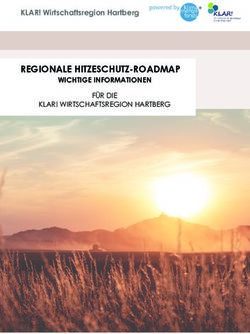 REGIONALE HITZESCHUTZ-ROADMAP - KLAR! Wirtschaftsregion Hartberg WICHTIGE INFORMATIONEN - Stadtwerke Hartberg