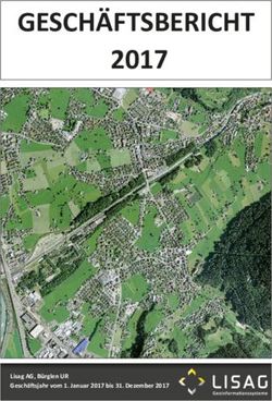 GESCH&Auml;FTSBERICHT 2017 - Lisag AG, B&uuml;rglen UR Gesch&auml;ft sjahr vom 1. Januar 2017 bis 31. Dezember 2017