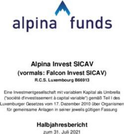 Alpina Invest SICAV (vormals: Falcon Invest SICAV) - Falcon Fund Management