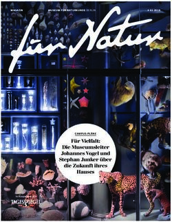 Für Vielfalt: Die Museumsleiter Johannes Vogel und Stephan Junker über die Zukunft ihres Hauses