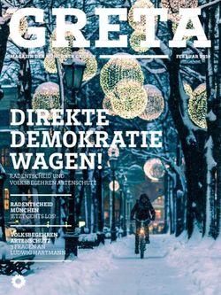DIREKTE DEMOKRATIE WAGEN! - magazin der münchner grünen Februar 2019 - Grüne München
