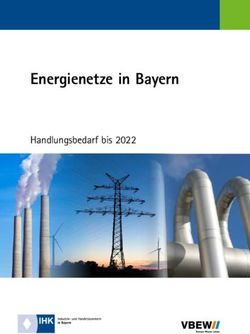 Energienetze in Bayern - Handlungsbedarf bis 2022