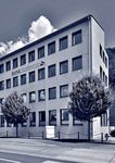 Gesch&auml;ftsbericht 2020 - Bank Alpinum AG