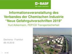 Informationsveranstaltung des Verbandes der Chemischen Industrie "Neue Gefahrgutvorschriften 2019" - Kurt Ackermann, FEP/CD Transportsicherheit ...