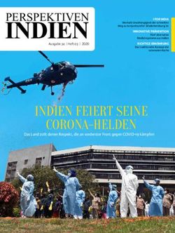 PERSPEKTIVEN - India Perspectives