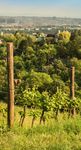 GUIDE 2019 - Die beste Lage der Stadt - Stadtlandwirtschaft Wien