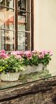 GUIDE 2019 - Die beste Lage der Stadt - Stadtlandwirtschaft Wien