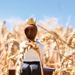 Seminarprogramm 2020 TERMINE/SEMINARE/VERANSTALTUNGEN