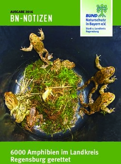 BN-NOTIZEN - 6000 AMPHIBIEN IM LANDKREIS REGENSBURG GERETTET - AUSGABE 2016 - BUND NATURSCHUTZ REGENSBURG