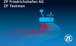 ZF Friedrichshafen AG ZF Testman