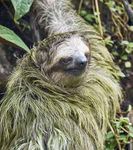 Programm Fr&uuml;hjahr 2019 - auch in Alt Duvenstedt - VHS Rickert eV