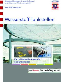 Wasserstoff-Tankstellen - Ein Leitfaden f&uuml;r Anwender und Entscheider - www.H2BZ-Hessen.de