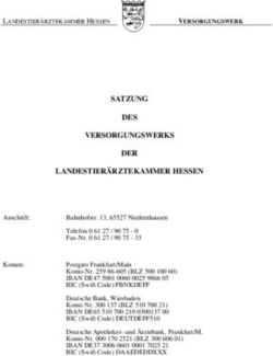 SATZUNG DES VERSORGUNGSWERKS DER LANDESTIERÄRZTEKAMMER HESSEN