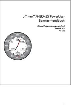 L-Timer/HERMES PowerUser Benutzerhandbuch - L-Timer Projektmanagement-Tool Lent.ch AG V. 1.0