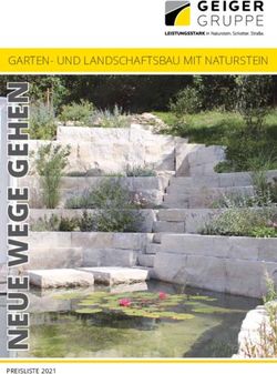 Garten und landschaftsbau mit naturstein PREISLISTE 2021
