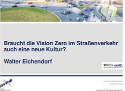 Braucht die Vision Zero im Stra&szlig;enverkehr auch eine neue Kultur? Walter Eichendorf - BG ETEM