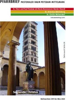 PFARRBRIEF PASTORALER RAUM POTSDAM-MITTELMARK - Segnender Christus - St. Peter und Paul Potsdam mit Maria Meeresstern Werder (Havel) St. Antonius ...