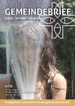GEMEINDEBRIEF - HITZE im L&uuml;ttenh&auml;ger Forst bei den Auseinandersetzungen um Corona am Schmalen Luzin - Kirche MV