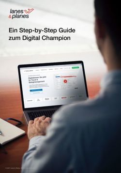 Ein Step-by-Step Guide zum Digital Champion - Lanes & Planes