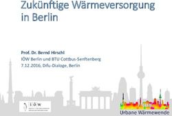 Zukünftige Wärmeversorgung in Berlin - Prof. Dr. Bernd Hirschl IÖW Berlin und BTU Cottbus-Senftenberg 7.12.2016, Difu-Dialoge, Berlin - Urbane ...