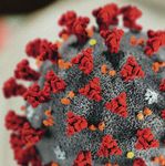 SARS-COV-2 JETZT NEU! SPEICHEL-/SPUCK-ANTIGEN-SCHNELLTEST