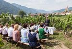 Zimmer-, Gastronomie- und Heurigenverzeichnis 2023 - www.weissenkirchen-wachau.at