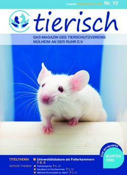 Tierisch - Tierschutzverein ...