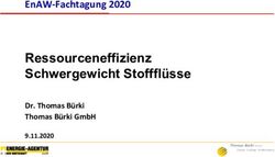 RESSOURCENEFFIZIENZ SCHWERGEWICHT STOFFFL&Uuml;SSE - ENAW-FACHTAGUNG 2020 - DR. THOMAS B&Uuml;RKI THOMAS B&Uuml;RKI GMBH