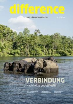 Difference - VERBINDUNG Nachhaltig und gefestigt - kaercher-media.com