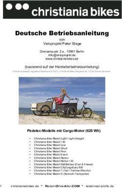 Deutsche Betriebsanleitung - von Veloprojekt Peter Stage