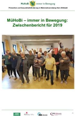 M&Uuml;HOBI - IMMER IN BEWEGUNG: ZWISCHENBERICHT F&Uuml;R 2019