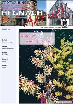 Bl&uuml;hender Hamamelisstrauch - Waiblingen-Hegnach