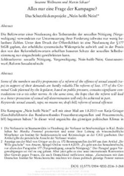 Alles nur eine Frage der Kampagne? Das Schutzl&uuml;ckenprojekt "Nein hei&szlig;t Nein!" - Das Schutzl&uuml;ckenprojekt