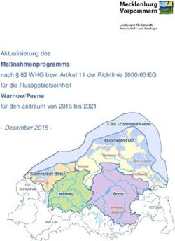Maßnahmenprogramms Warnow/Peene - Aktualisierung des nach 82 WHG bzw. Artikel 11 der Richtlinie 2000/60/EG für die Flussgebietseinheit für den ...