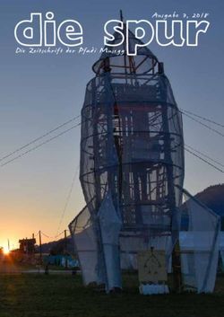 Die Zeitschrift der Pfadi Musegg - Ausgabe 3, 2018