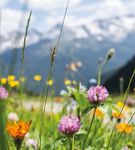 BLAUE SEEN PRÄCHTIGE BERGE UND - REISETERMIN: 11. JUNI BIS 18. JUNI 2022 - Stiftungsfamilie