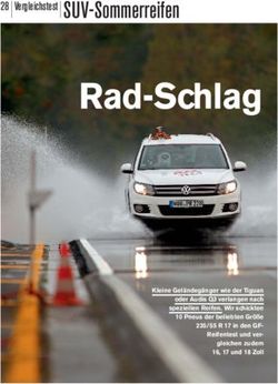 Rad-Schlag SUV-Sommerreifen - Pirelli