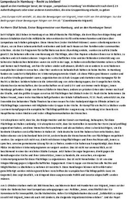 Lampedusa in Hamburg - Recht zu bleiben!