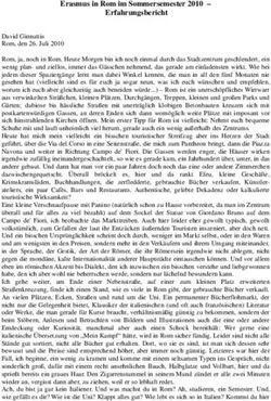 Erasmus in Rom im Sommersemester 2010- Erfahrungsbericht
