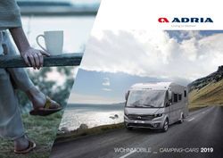 Wohnmobile _ camping-cars 2019 - Adria Mobil