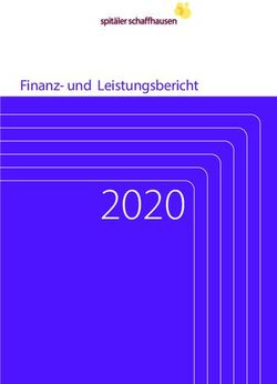 2020 Finanz- und Leistungsbericht - Spit&auml;ler Schaffhausen