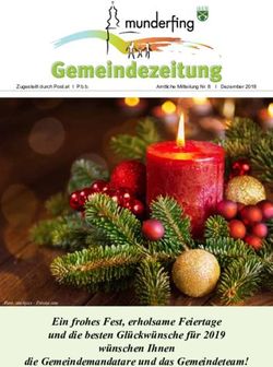 Ein frohes Fest, erholsame Feiertage und die besten Gl&uuml;ckw&uuml;nsche f&uuml;r 2019 w&uuml;nschen Ihnen die Gemeindemandatare und das Gemeindeteam! - Zugestellt ...