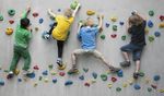 Monitoring Kinder- und Jugendpolitik / vertiefende Analyse Kinder- und Jugendpartizipation Schlussbericht