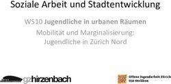 Soziale Arbeit und Stadtentwicklung - WS10 Jugendliche in urbanen R&auml;umen Mobilit&auml;t und Marginalisierung: Jugendliche in Z&uuml;rich Nord
