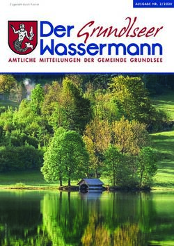 Grundlseer Der Wassermann - AMTLICHE MITTEILUNGEN DER GEMEINDE GRUNDLSEE