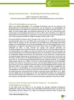 BACKGROUND INFORMATION - NACHHALTIGE UNTERNEHMENSF&Uuml;HRUNG1
