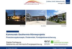 Kommunale Geothermie-W&auml;rmeprojekte - Finanzierungskonzepte, F&ouml;rdermittel, F&uuml;ndigkeitsversicherung