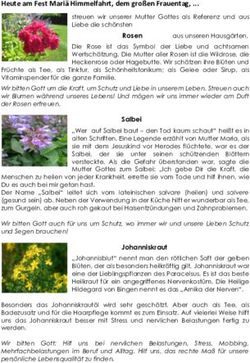 Heute am Fest Mari&auml; Himmelfahrt, dem gro&szlig;en Frauentag ...